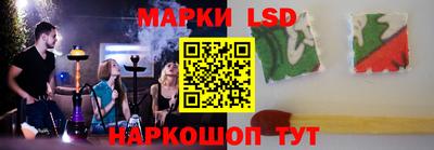 стаф Будённовск