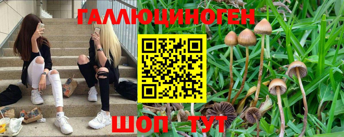 Галлюциногенные грибы прущие грибы  Вход с VPN  Миллерово 